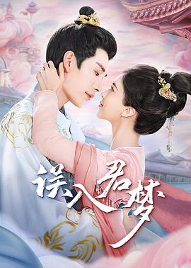 误入君梦第09集