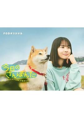 今日份的散步第07集
