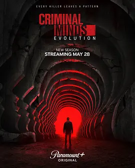 犯罪心理：演变 第十九季 Criminal Minds: Evolution Season 19