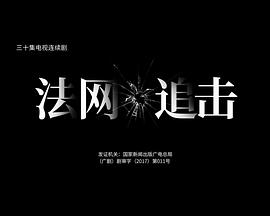 法网追击第04集