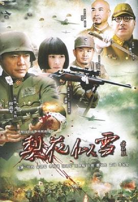 梨花似雪第06集