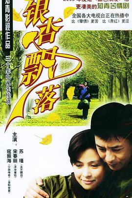 银杏飘落第13集
