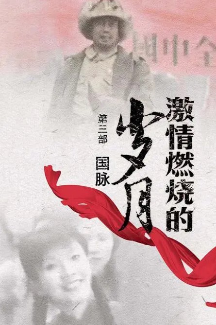 激情燃烧的岁月3(全集)